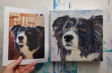 Pet Portrait of Inde - Border Collie